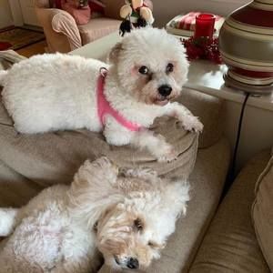 Meet your Posher, Gerri